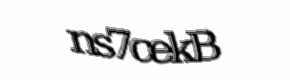 Security check image, please type the characters shown