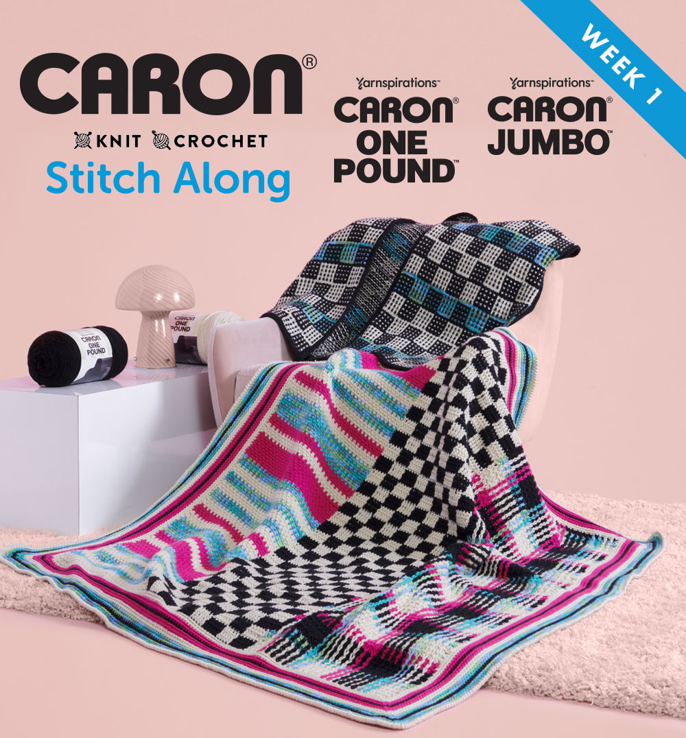 Caron® Stitch Along