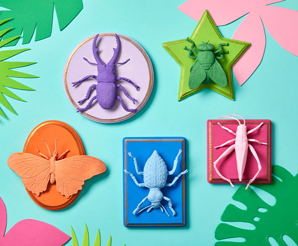 Kids Bug Displays.