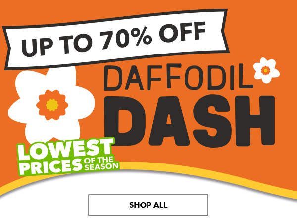 Daffodil Dash Lowest Prices of the Season Up to 70% Off SHOP NOW DAFFODIL 