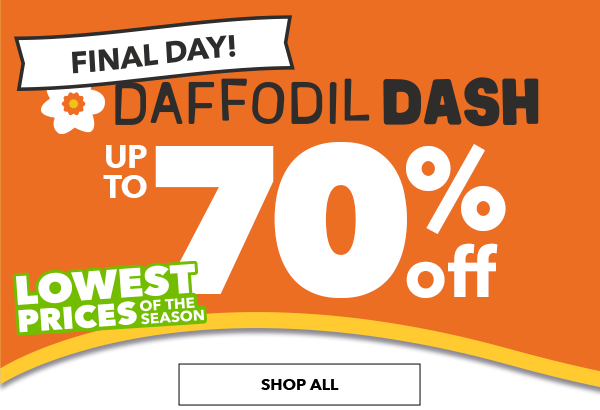 Daffodil Dash Final Day! Lowest Prices of the Season Up to 70% Off SHOP ALL