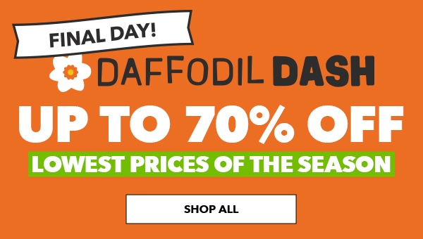 Daffodil Dash Final Day! Lowest Prices of the Season Up to 70% Off SHOP ALL