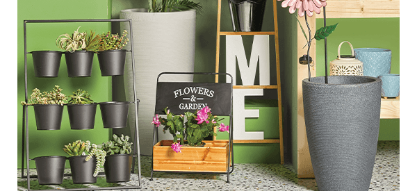 Place & Time Greenhouse Garden and Outdoor Decor