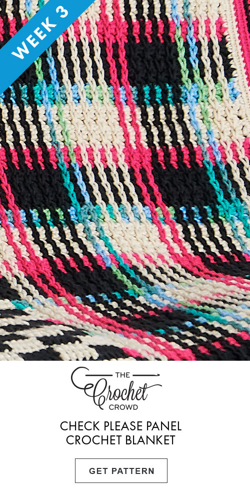 Check Please Panel Crochet Blanket GET PATTERN