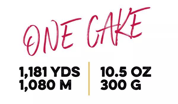 One Cake 1,181 yds. 1,080 M 10.5 oz. 300G