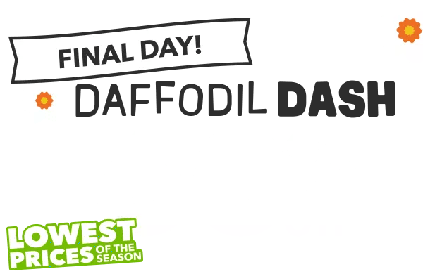 Final Day! Daffodil Dash. Up to 60% off. Lowest Prices of the Season.