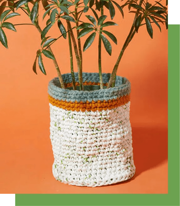  Plastic Bag Plant Cover