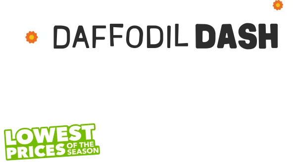 Daffodil Dash. Up to 60% off. Lowest Prices of the Season.