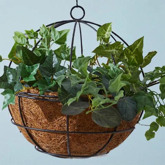 Hanging Baskets