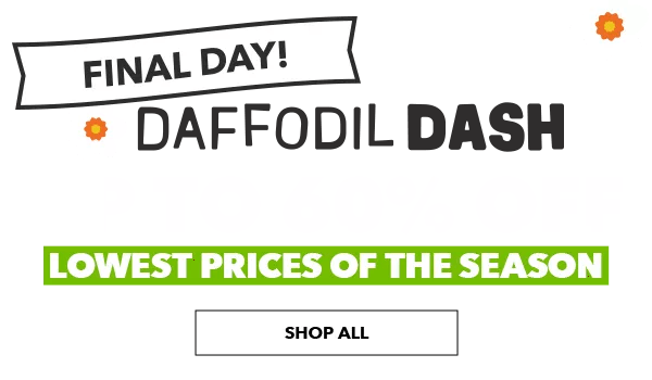 Final Day! Daffodil Dash. Up to 60% off. Lowest prices of the season. SHOP ALL.