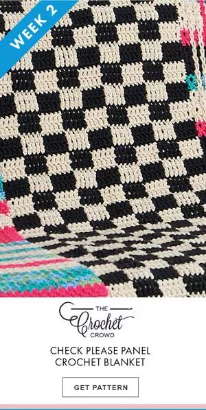 The Crochet Crowd Check Please Panel Crochet Blanket GET PATTERN