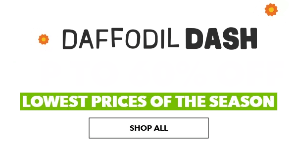 Daffodil Dash. Up to 60% off. Lowest prices of the season. SHOP ALL.