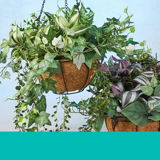 Hanging Baskets.