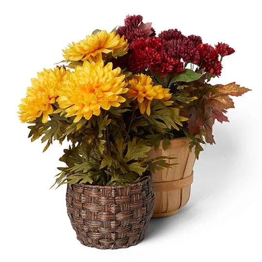 Fall Arrangements 40% Off. SHOP ALL.