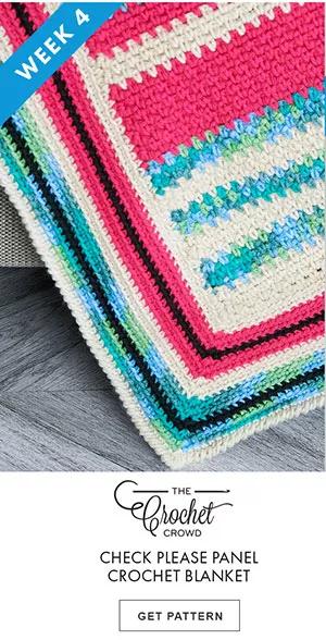 Check Please Panel Crochet Blanket GET PATTERN