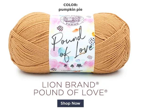 Color: pumpkin pie Lion Brand Pound of Love SHOP NOW