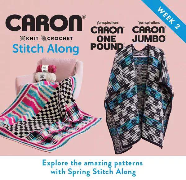 Caron® Stitch Along