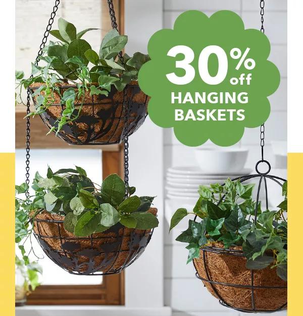 Our floral aisle is blooming- come see what's new. 30% off hanging baskets.