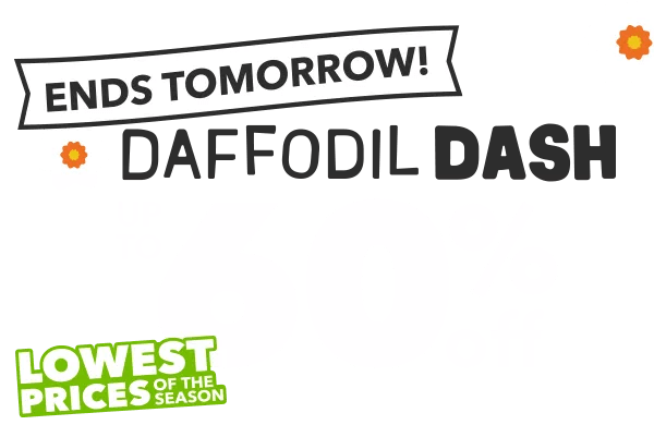  Daffodil Dash Ends Tomorrow! Lowest Prices of the Season Up to 60% Off SHOP ALL