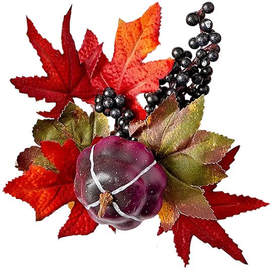 DOORBUSTER. B2G2 FREE. Bloom Room Fall Stems, Bushes, Picks and Drieds. 50% off Online. SHOP ALL.