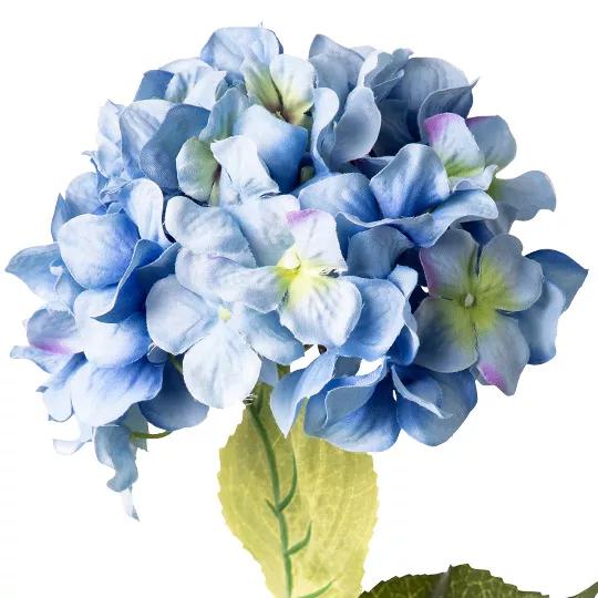 Hydrangeas