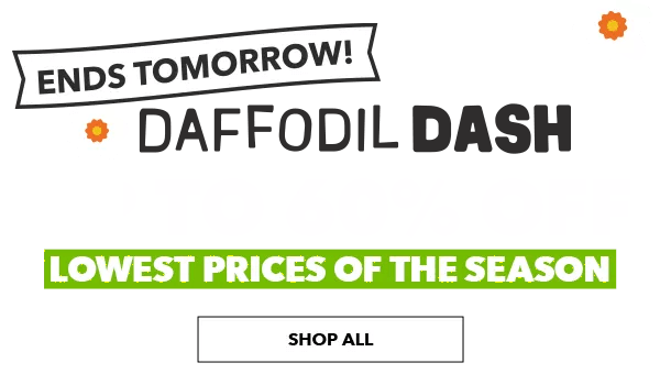 Daffodil Dash Ends Tomorrow! Lowest Prices of the Season Up to 60% Off SHOP ALL