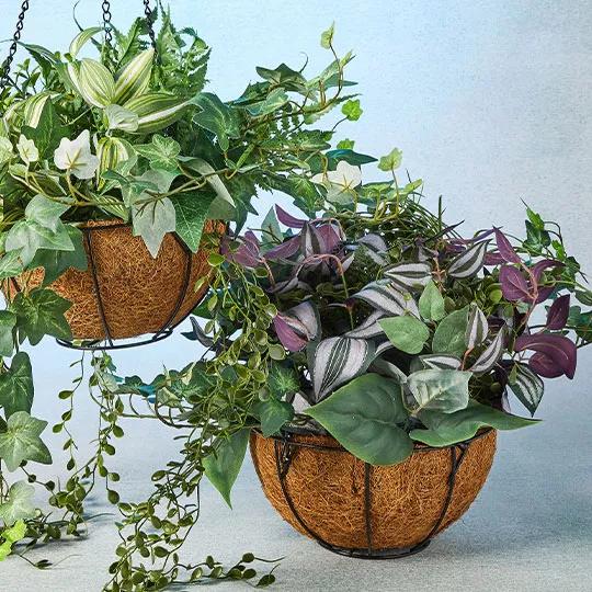 Planter Baskets.